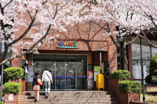 韩国科学技术院学生信息