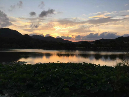 中山大学珠海校区管理模式