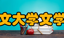香港中文大学文学院学院人员院长：冼为坚中国文化讲座教授唐小兵
