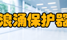 浪涌保护器基本元件