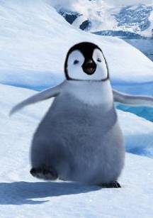 快乐的大脚角色介绍