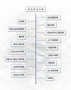 东北林业大学历史沿革