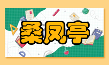 中国工程院院士桑凤亭人才培养讲座报告