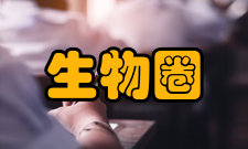 生物圈稳态说明