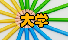 公立大学师资队伍就师资队伍而言