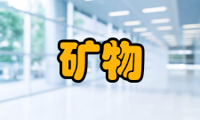 矿物加工工程矿材料开发