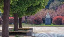 徐州医科大学教学建设