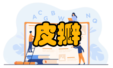 皮瓣术前注意事项