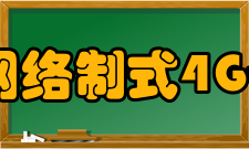 网络制式4G+