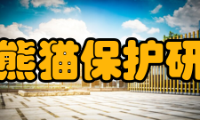 中国大熊猫保护研究中心集体拜年