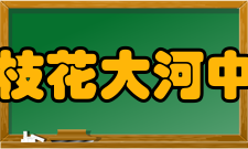 攀枝花大河中学所获荣誉