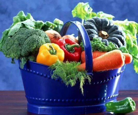 菜篮子工程其他信息