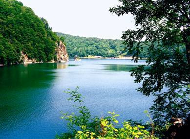 生态学形成期大约从15世纪到20世纪40年代