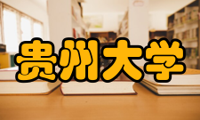 清水江文书
