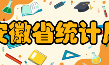 安徽省统计局主要职责