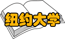 纽约大学泰晤士排名多少