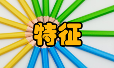 城市规划管理基本特征