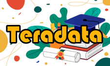 Teradata全球合作伙伴