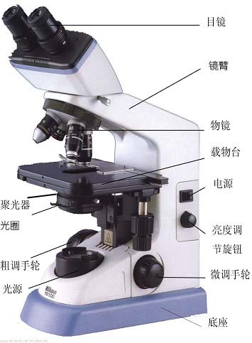 显微镜仪器结构