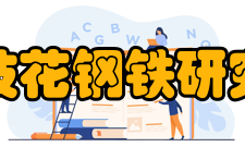 攀钢集团攀枝花钢铁研究院有限公司核心员工