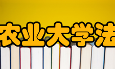 东北农业大学法学院师资力量