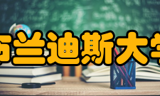 布兰迪斯大学其他专业布兰迪斯大学在商科