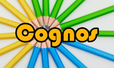 Cognos基本含义