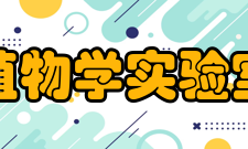 植物学实验室实验室规模实验室拥有一支结构年轻