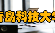 青岛科技大学师资力量