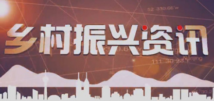 中国农业电影电视中心乡村振兴资讯