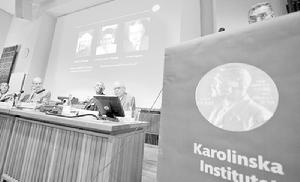 卡罗林斯卡学院师资条件