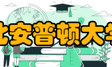 北安普顿大学奖学金