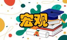 宏观量子效应定义