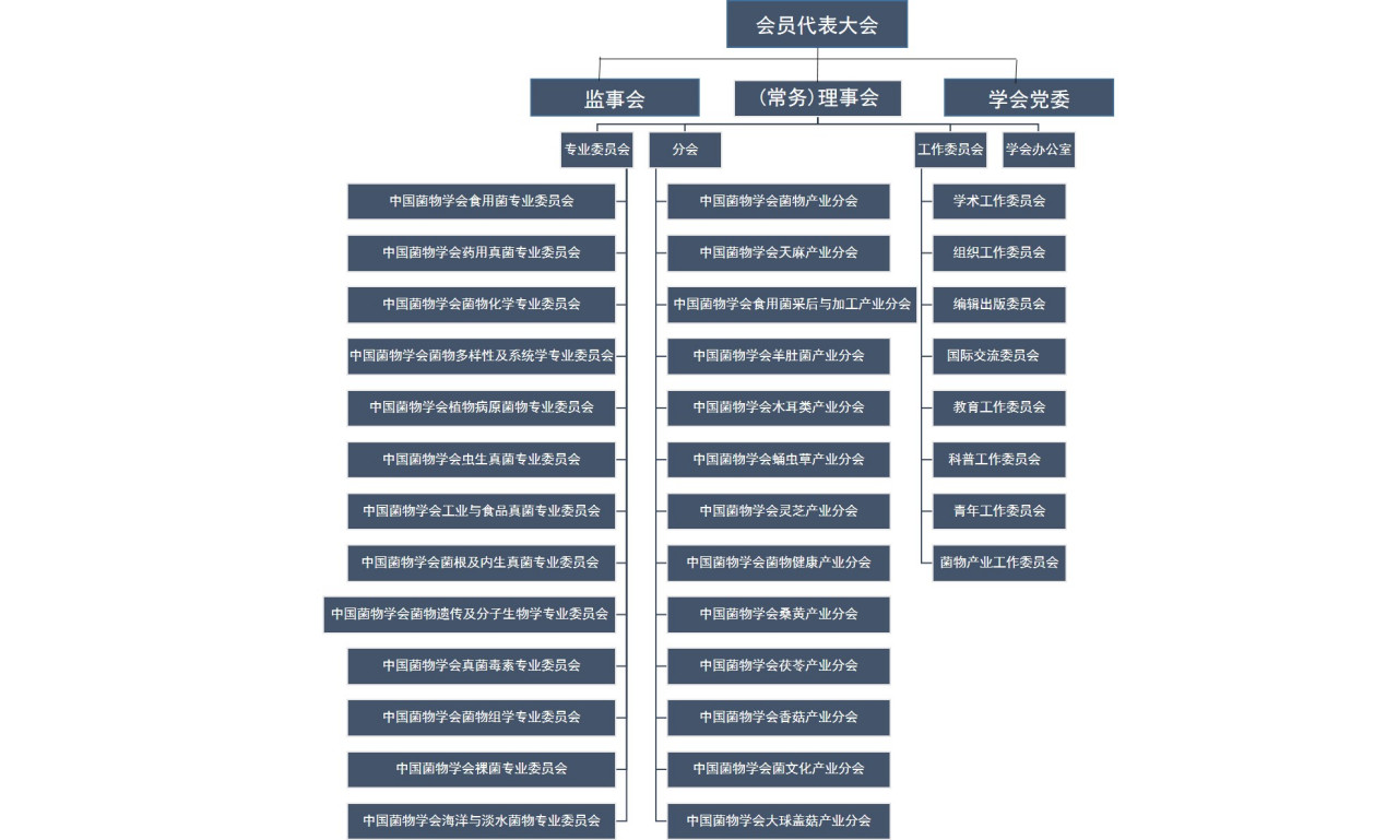 中国菌物学会机构设置