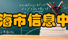 上海市信息中心主要工作