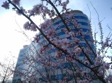 牡丹江师范学院合作交流