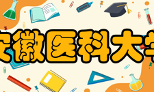 安徽医科大学现任领导