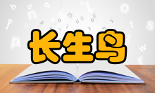 长生鸟梧桐栖凤