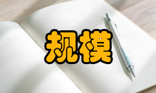 组织规模企业比较