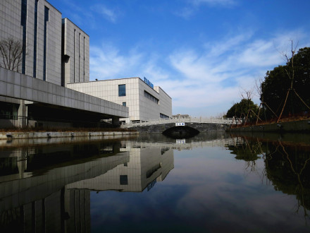 安徽国际商务职业学院办学历史