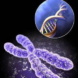 首都医科大学生物医学工程学院专业特色