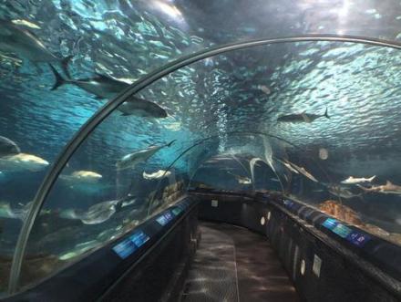 青岛海产博物馆海洋生物馆