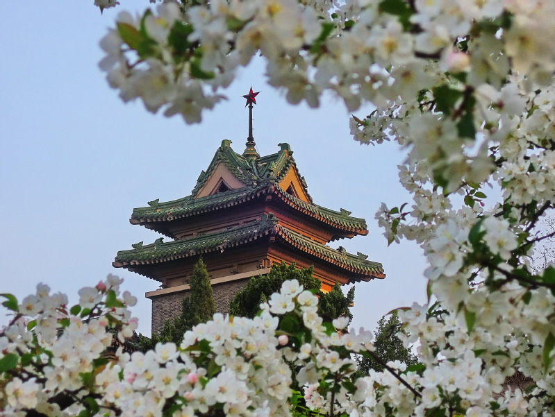 南京农业大学国际学术合作