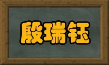 殷瑞钰荣誉表彰时间荣誉