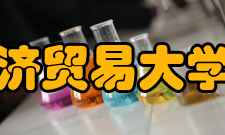 对外经济贸易大学法学院师资力量