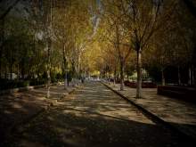 哈尔滨学院学风