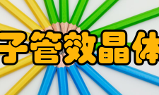 电子管效晶体管