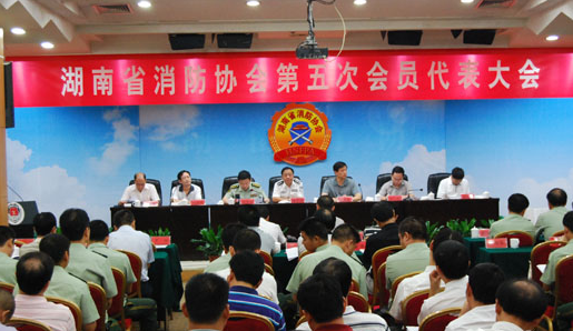 湖南省消防协会组织结构协会