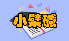 小檗碱治疗糖尿病