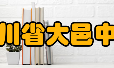 四川省大邑中学教师成绩2004年